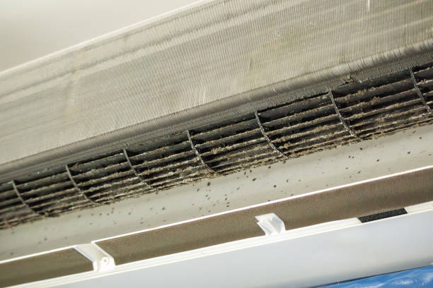 Best Affordable HVAC Duct Cleaning  in North Westport, MA